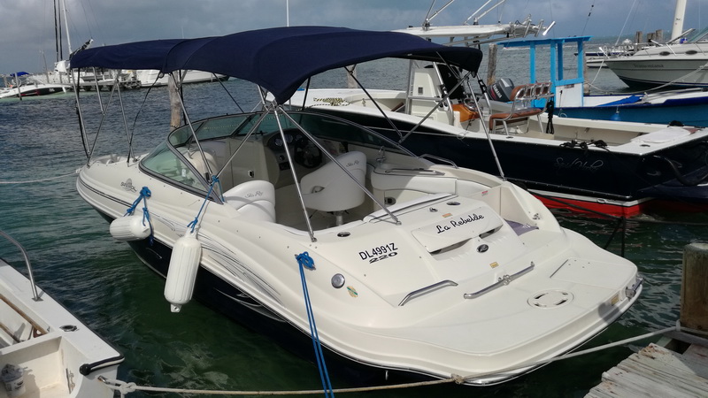Searay Sundeck boat rental 