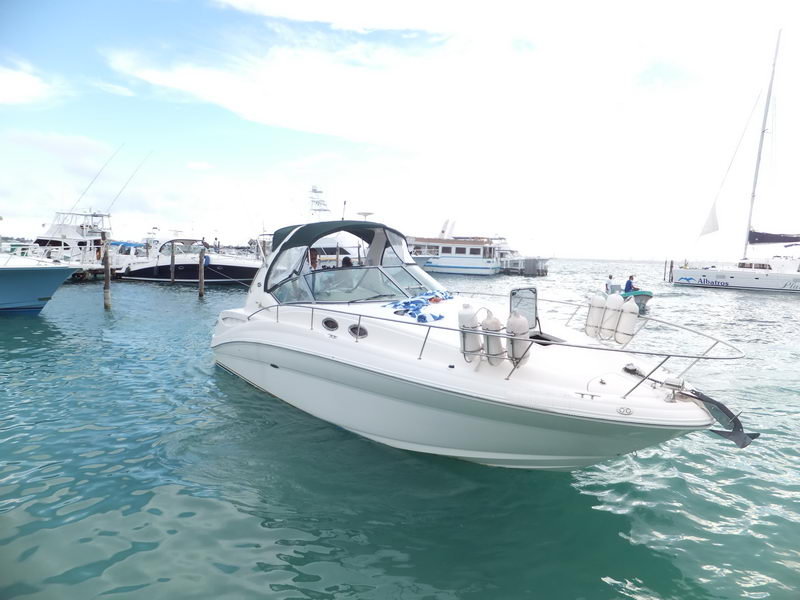 Searay Sundeck boat for rent