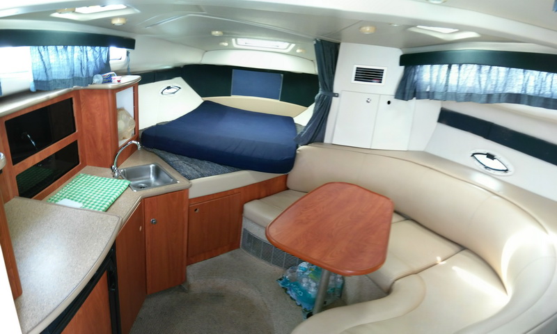 Bayliner 35 sport Yacht