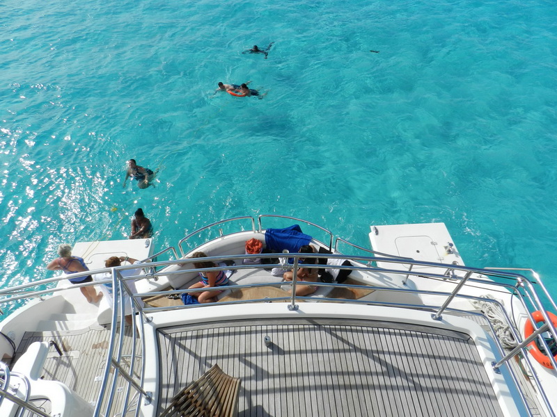 Snorkel activities from boat