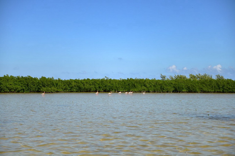 Shallow waters access