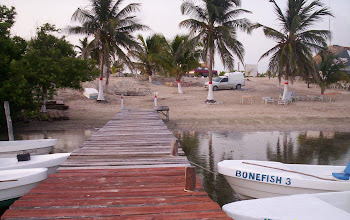 Shallow-draft flats skiffs named Bonefish moored at a palm-lined Isla Blanca dock north of Cancun, ready for fly fishing