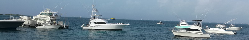 Cancun Luhrs Fishing Boats