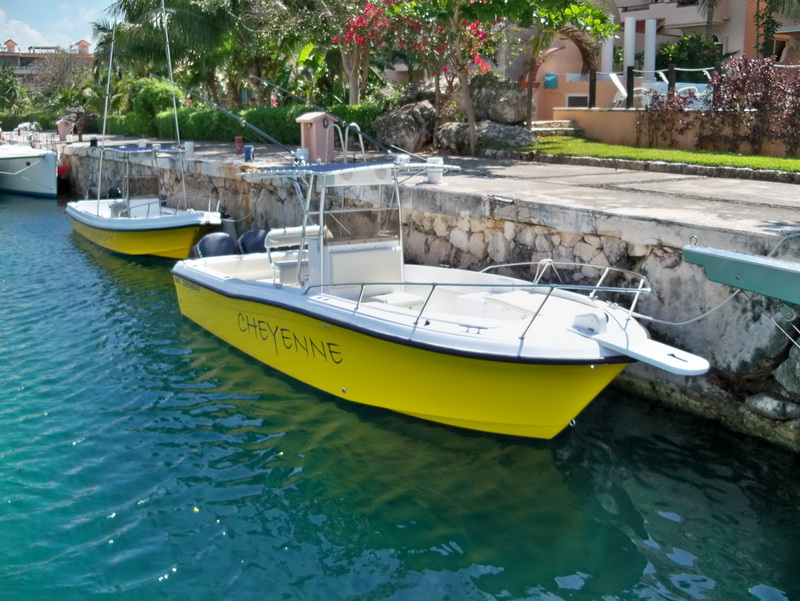 Econimic Boat rentals at Puerto Aventuras Marina fishing boa…