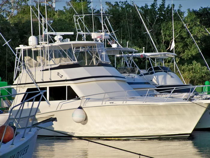 Bertram Yacht  Cozumel Island Marina