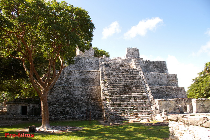 Pirámide escalonada de piedra de las ruinas mayas de El Meco cerca de Cancún, a la sombra de un gran árbol bajo un cielo azul, visitada en el tour del Dancer