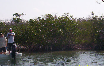 Two anglers casting from a flats skiff along a mangrove shoreline at Isla Blanca near Cancun, sight fishing the shallow water