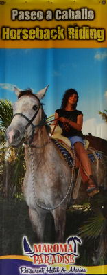 Horse Back Playa del Carmen