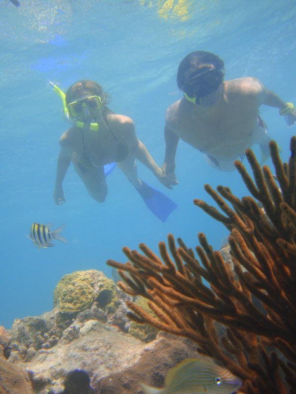 maroma reef snorkel