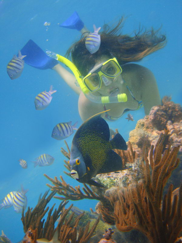 maroma playa del carmen snorkeling