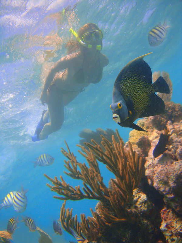 catamaran snorkeling tour