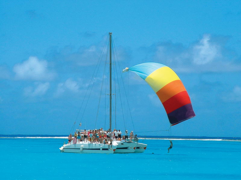 catamaran flying the spinnaker