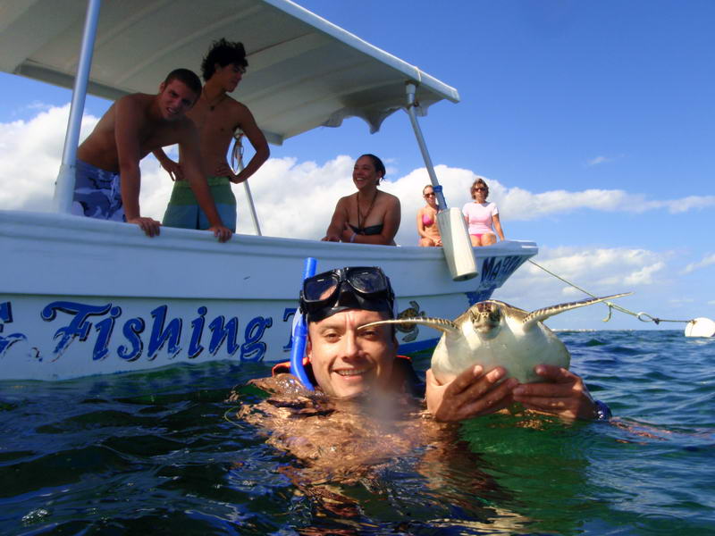 snorkel turtles puerto morelos