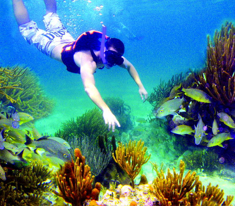 snorkeling tour