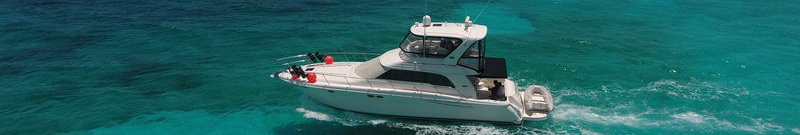 Rent a Boat Sea Ray with Fly Bridge