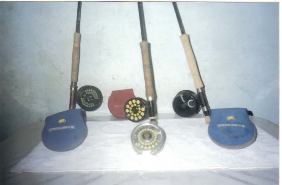 Three light fly rods with saltwater reels and spare spools displayed for the Isla Blanca flats fishing charter near Cancun