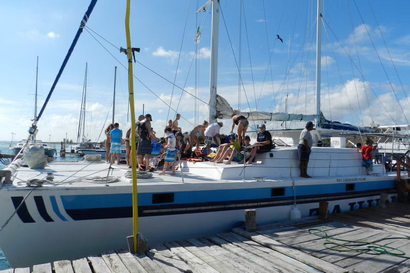 catamaran sailing