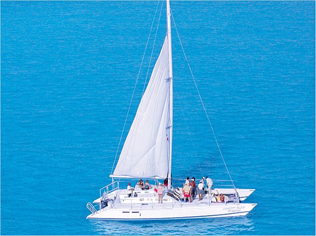 Hire a Catamaran for group private sailing tour Isla Mujeres…